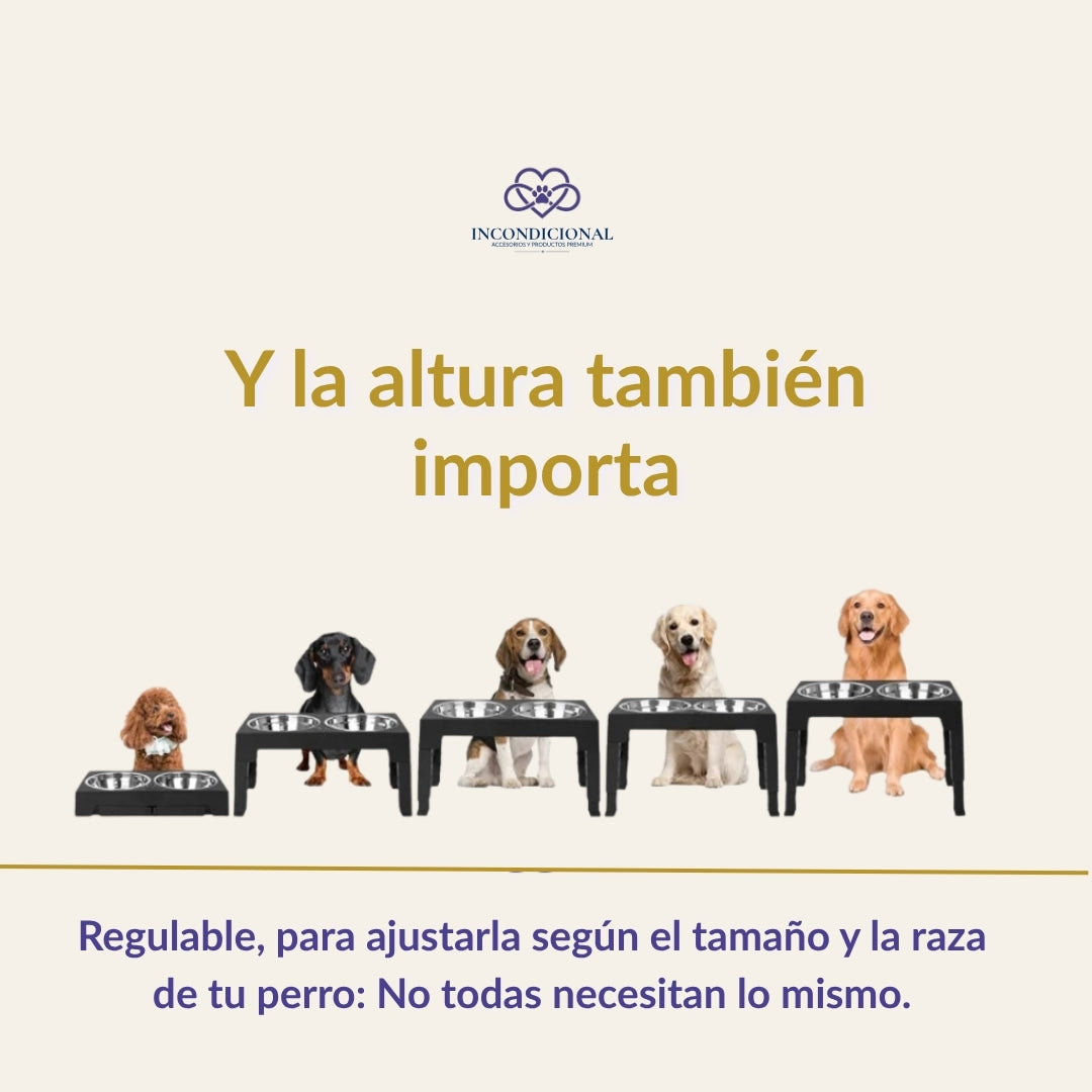 Imagen con perros de diferentes alturas que informa sobre la importancia de que tu perro coma en un comedero elevado