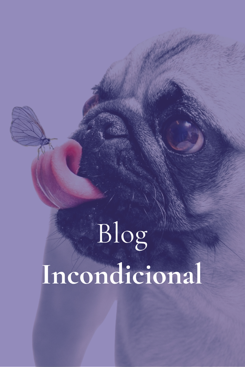 Bienvenida a Incondicional: para los que les llamamos familia.