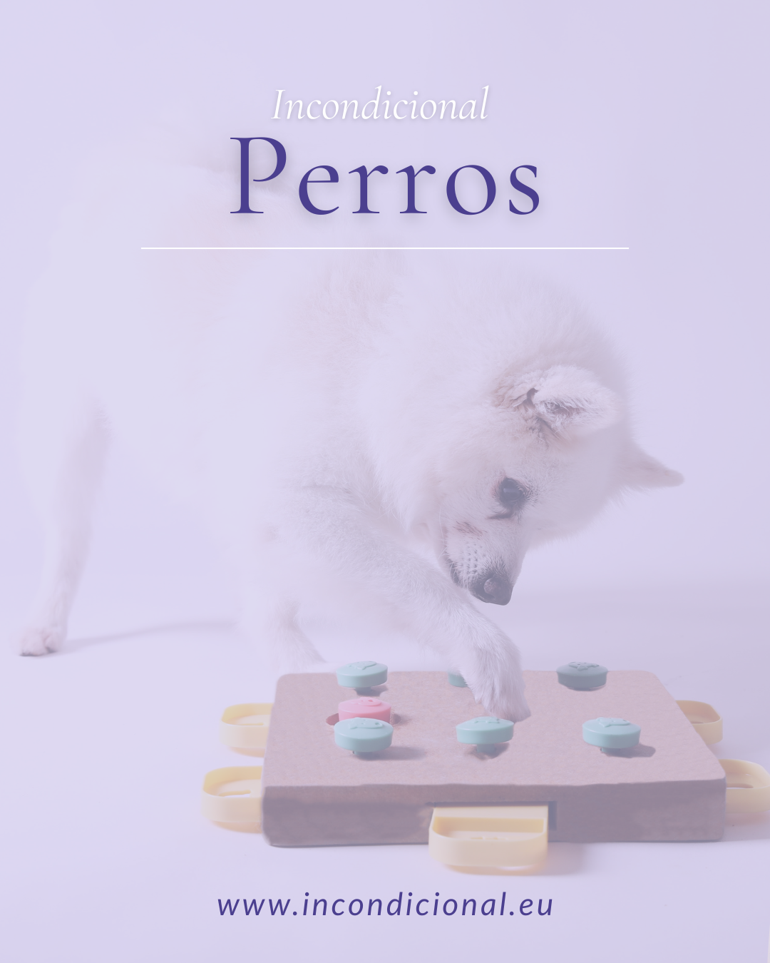 Para Perros