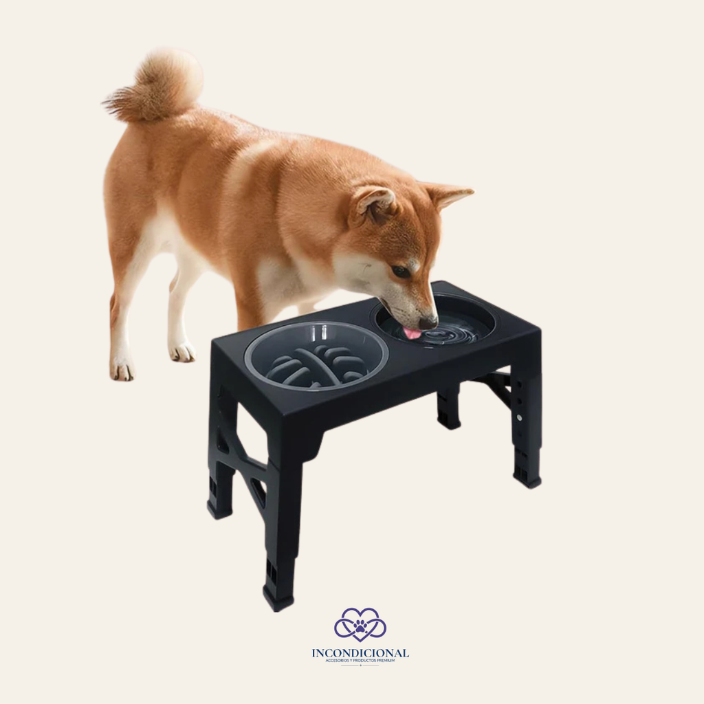 Comedero Elevado con Altura Regulable y Bol Antiengulle para Perros Medianos y Grandes