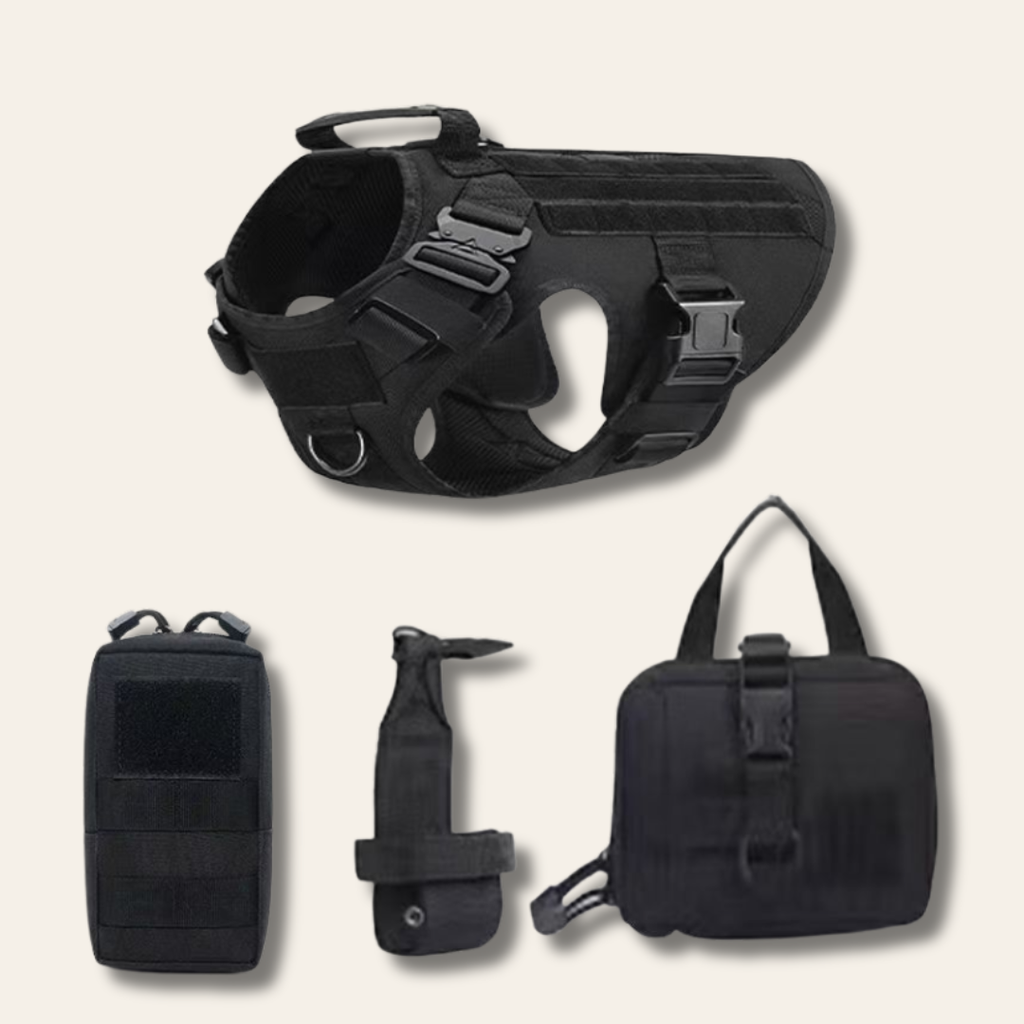 Kit de aventura para perros | Chaleco outdoor + accesorios de paseo