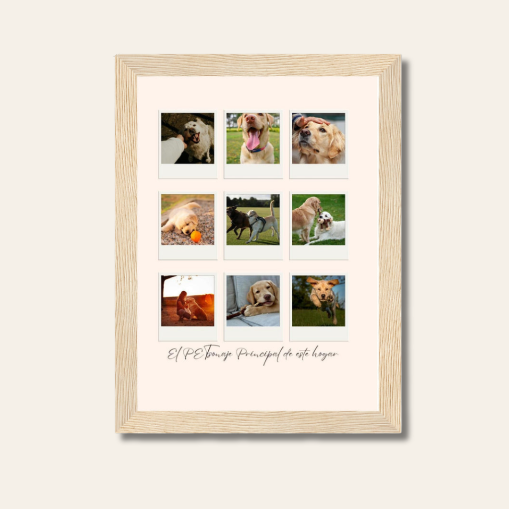 Póster Enmarcado Madera con Cristal | Decoración Mascotas