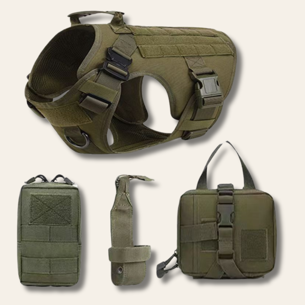 Kit de aventura para perros | Chaleco outdoor + accesorios de paseo