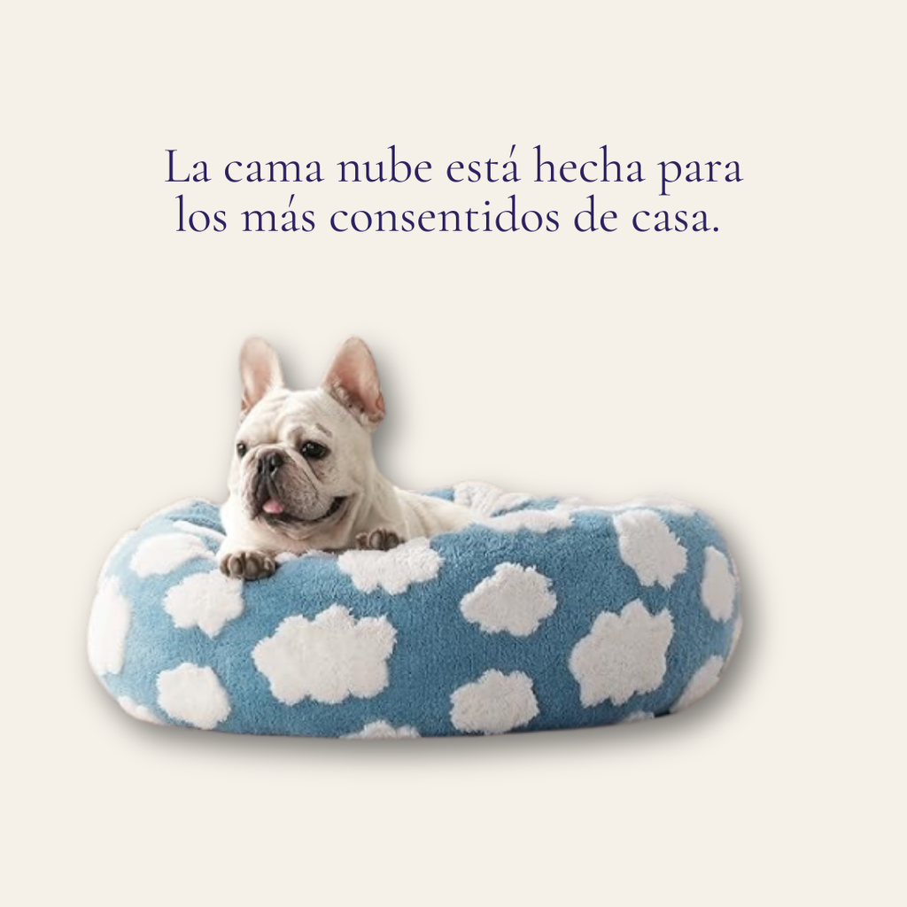 Cama para gatos y perros pequeños PETfecto Toast — cama semiabierta de lana de cordero, colección otoño-invierno