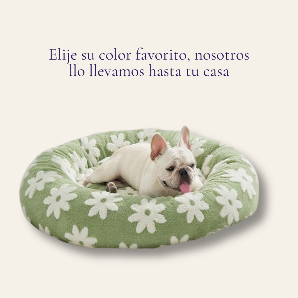 Cama para gatos y perros pequeños PETfecto Toast — cama semiabierta de lana de cordero, colección otoño-invierno