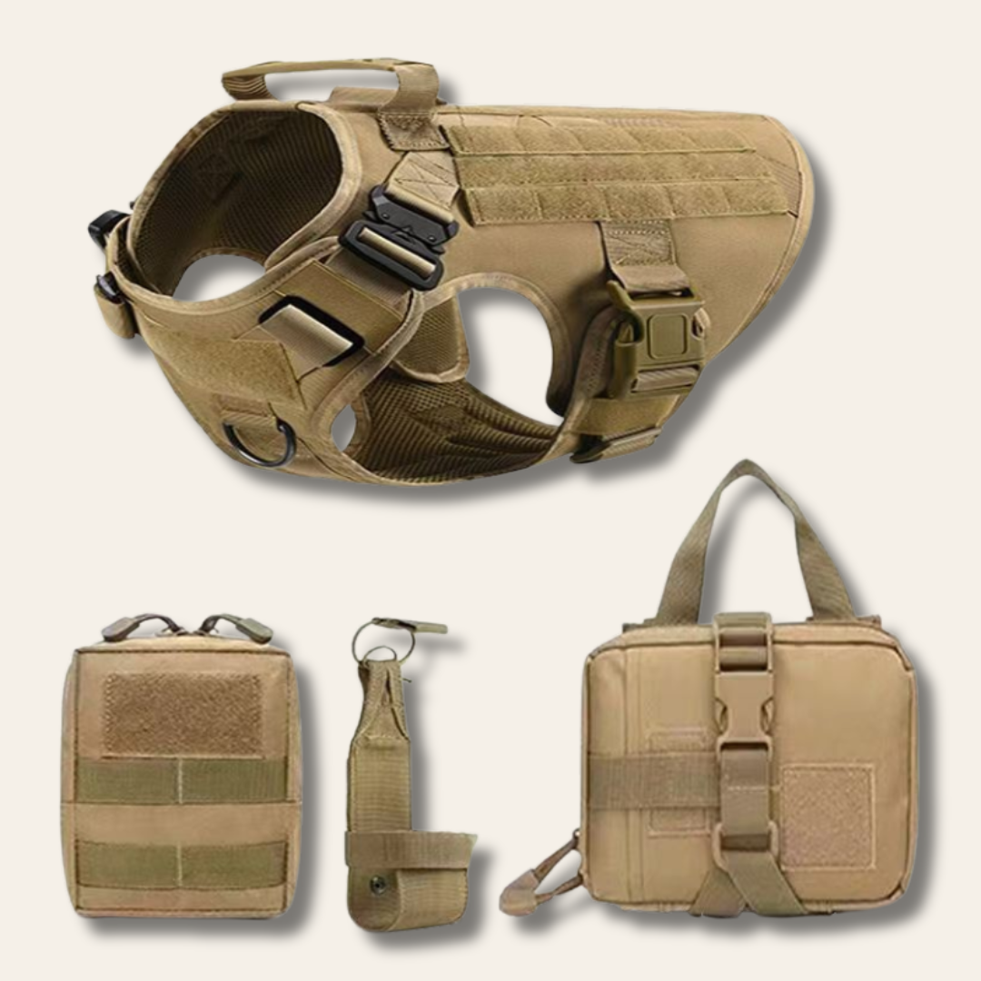 Kit de aventura para perros | Chaleco outdoor + accesorios de paseo