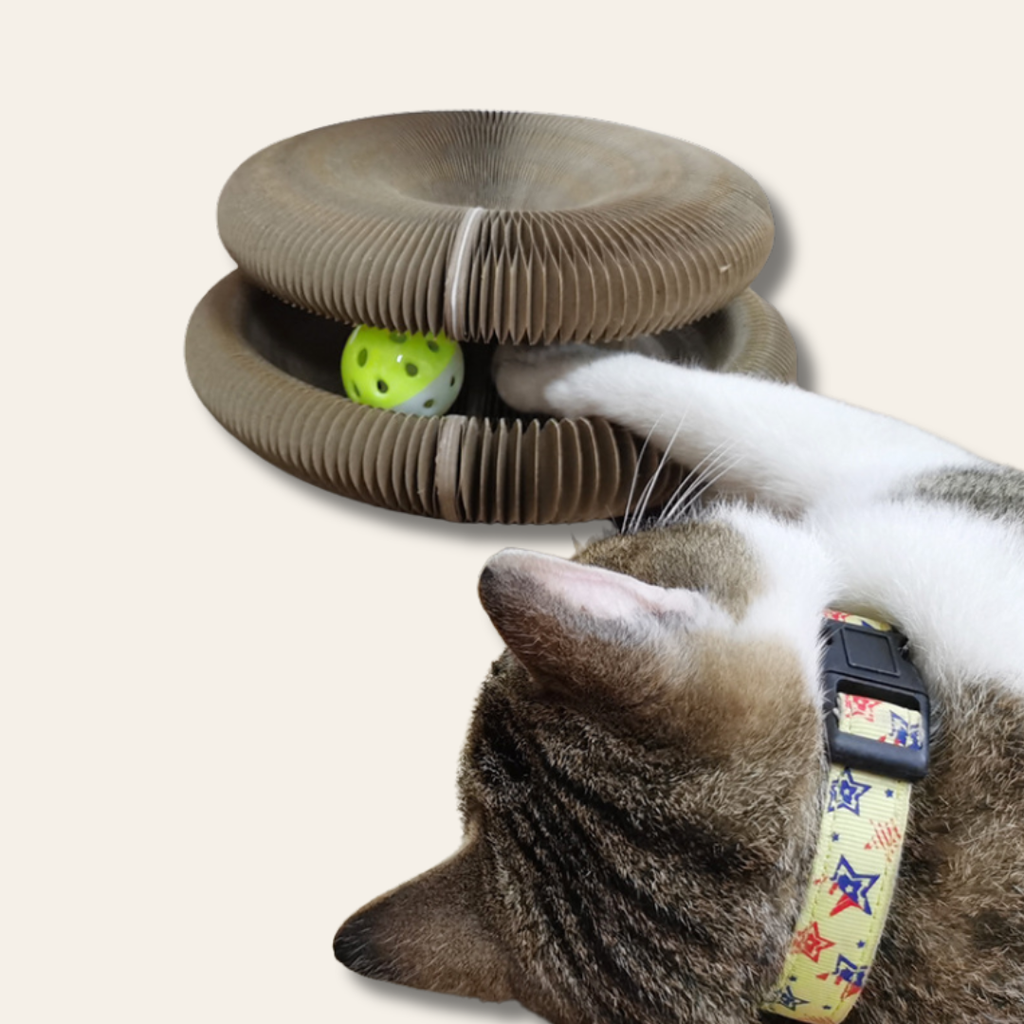 Rascador para gatos con campana y juguete yo-yo — tablero honeycomb