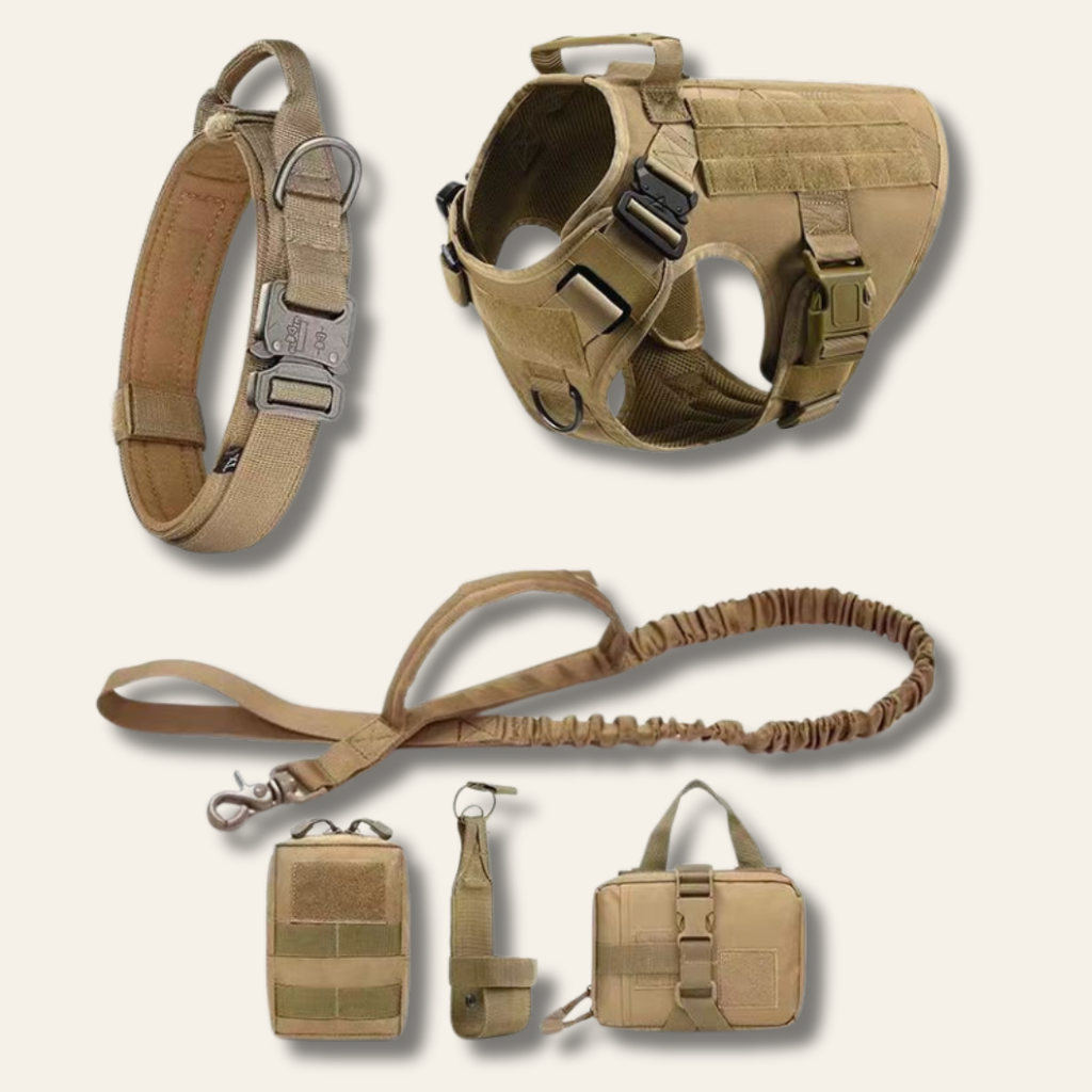 Kit de aventura para perros | Chaleco outdoor + accesorios de paseo