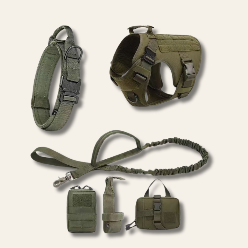 Kit de aventura para perros | Chaleco outdoor + accesorios de paseo