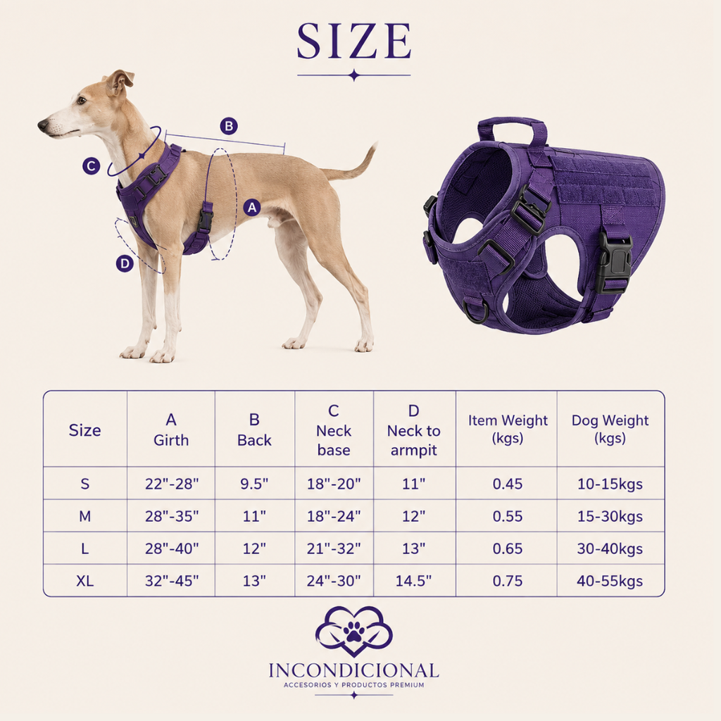 Kit de aventura para perros | Chaleco outdoor + accesorios de paseo