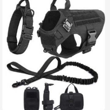 Kit de aventura para perros | Chaleco outdoor + accesorios de paseo