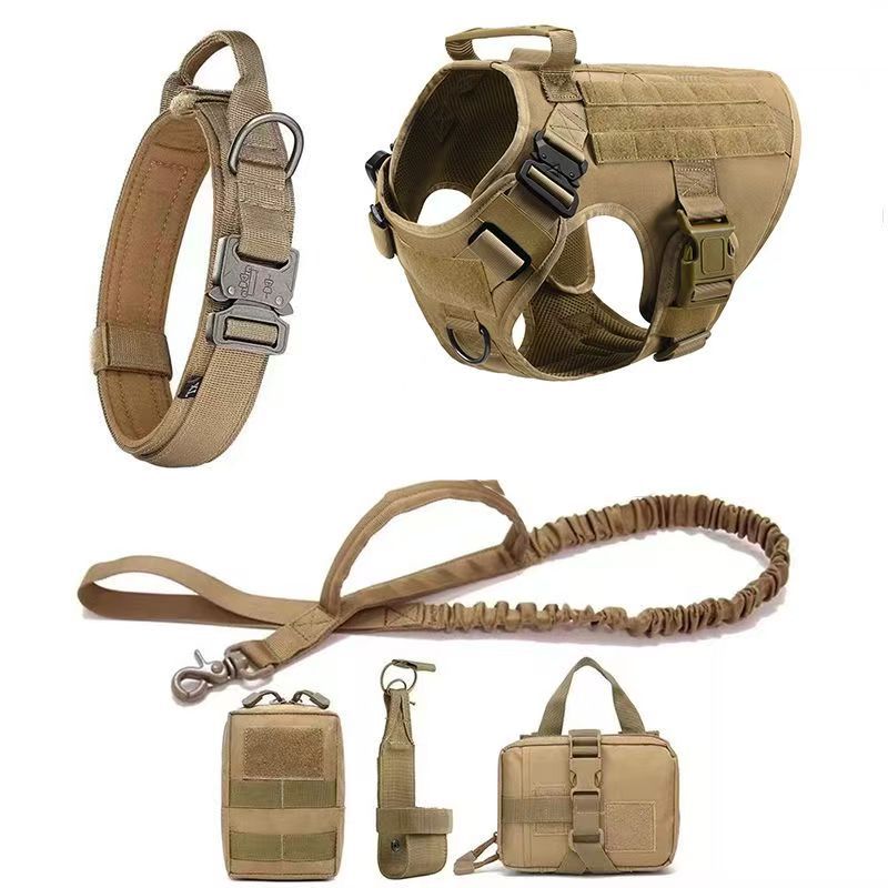 Kit de aventura para perros | Chaleco outdoor + accesorios de paseo