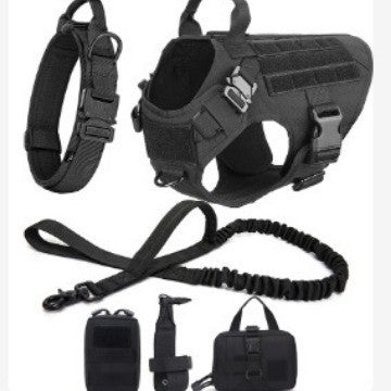 Kit de aventura para perros | Chaleco outdoor + accesorios de paseo