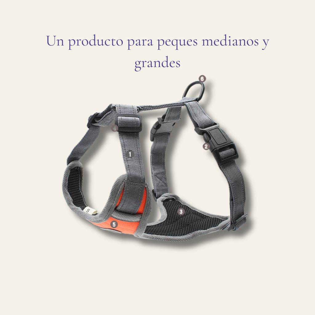 Arnés para perro transpirable y reflectante — tejido Oxford con interior EVA impermeable