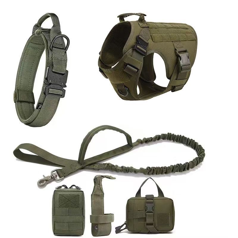 Kit de aventura para perros | Chaleco outdoor + accesorios de paseo