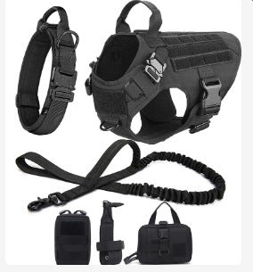 Kit de aventura para perros | Chaleco outdoor + accesorios de paseo