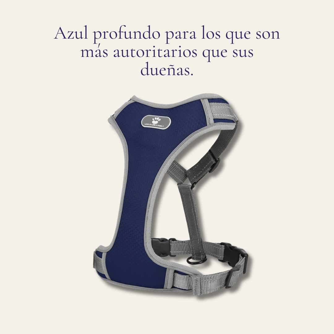 Arnés para perro transpirable y reflectante — tejido Oxford con interior EVA impermeable