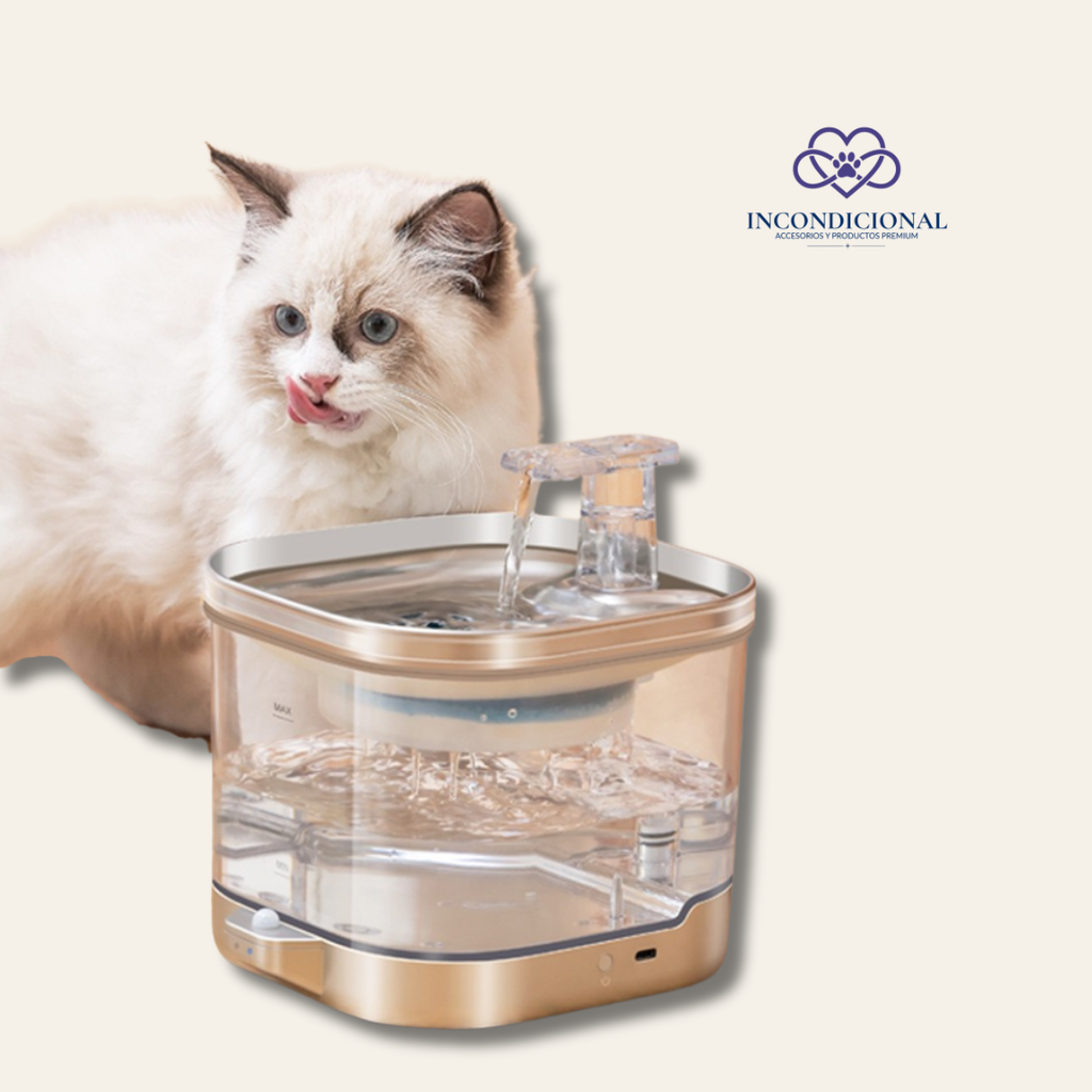 Fuente de Agua Inalámbrica para Mascotas Incondicional — 2L Acero Inoxidable con Filtración Multicapa