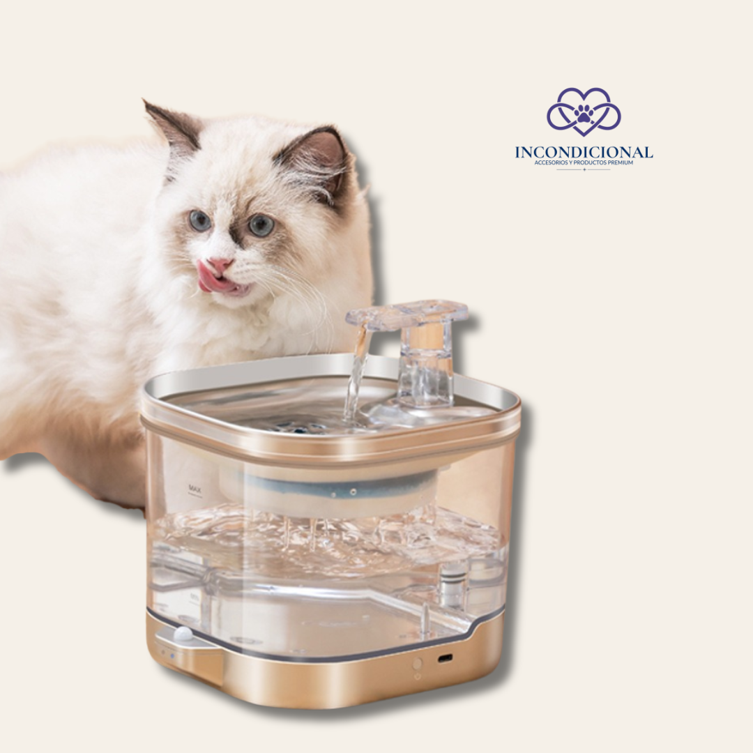 Fuente de Agua Inalámbrica para Mascotas Incondicional — 2L Acero Inoxidable con Filtración Multicapa