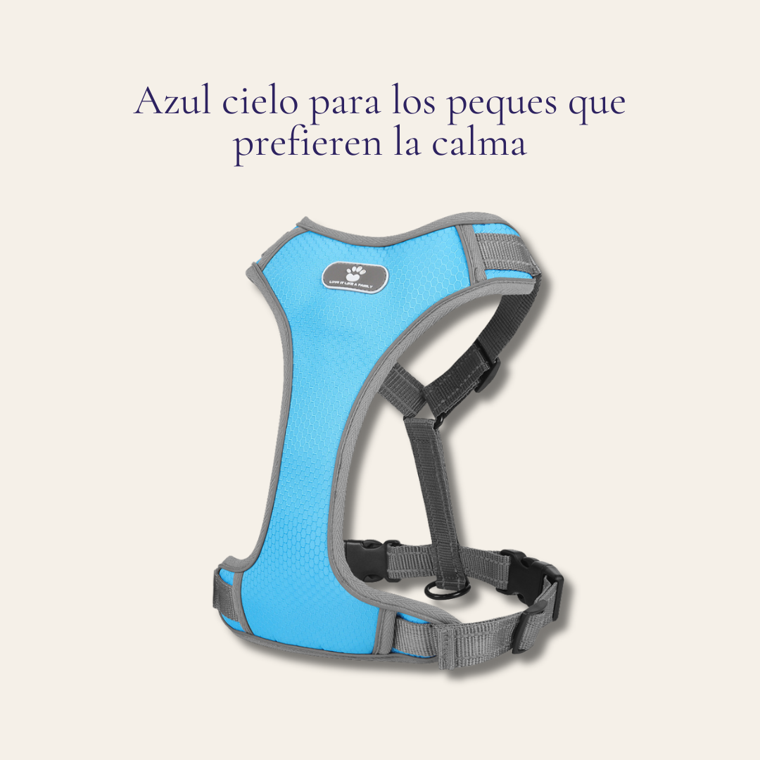 Arnés para perro transpirable y reflectante — tejido Oxford con interior EVA impermeable