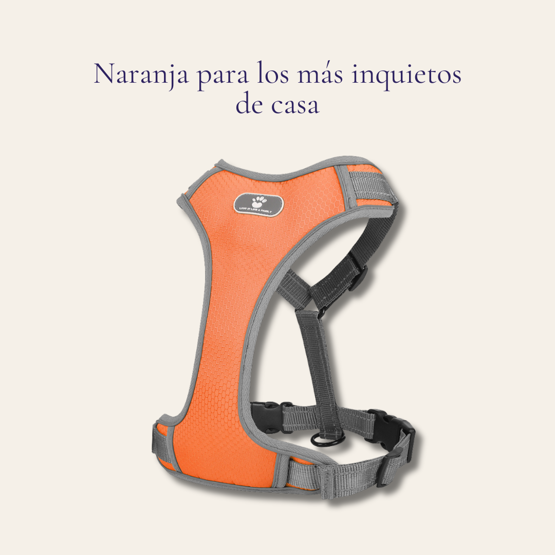 Arnés para perro transpirable y reflectante — tejido Oxford con interior EVA impermeable
