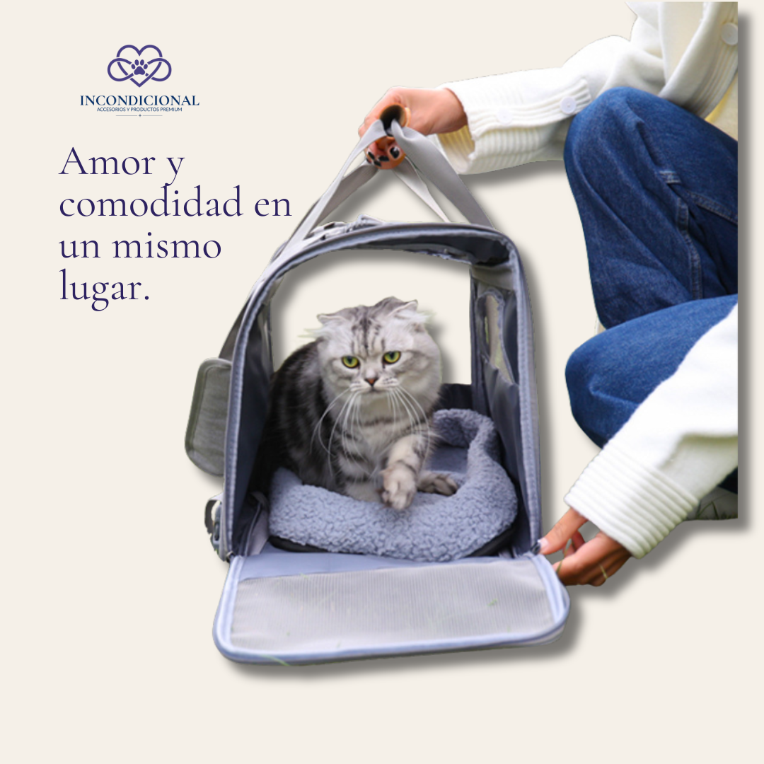 Mochila Portátil para Gatos | Bolsa de Transporte Plegable y Transpirable
