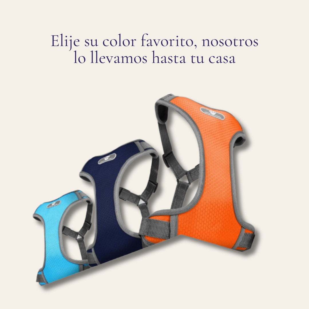 Arnés para perro transpirable y reflectante — tejido Oxford con interior EVA impermeable