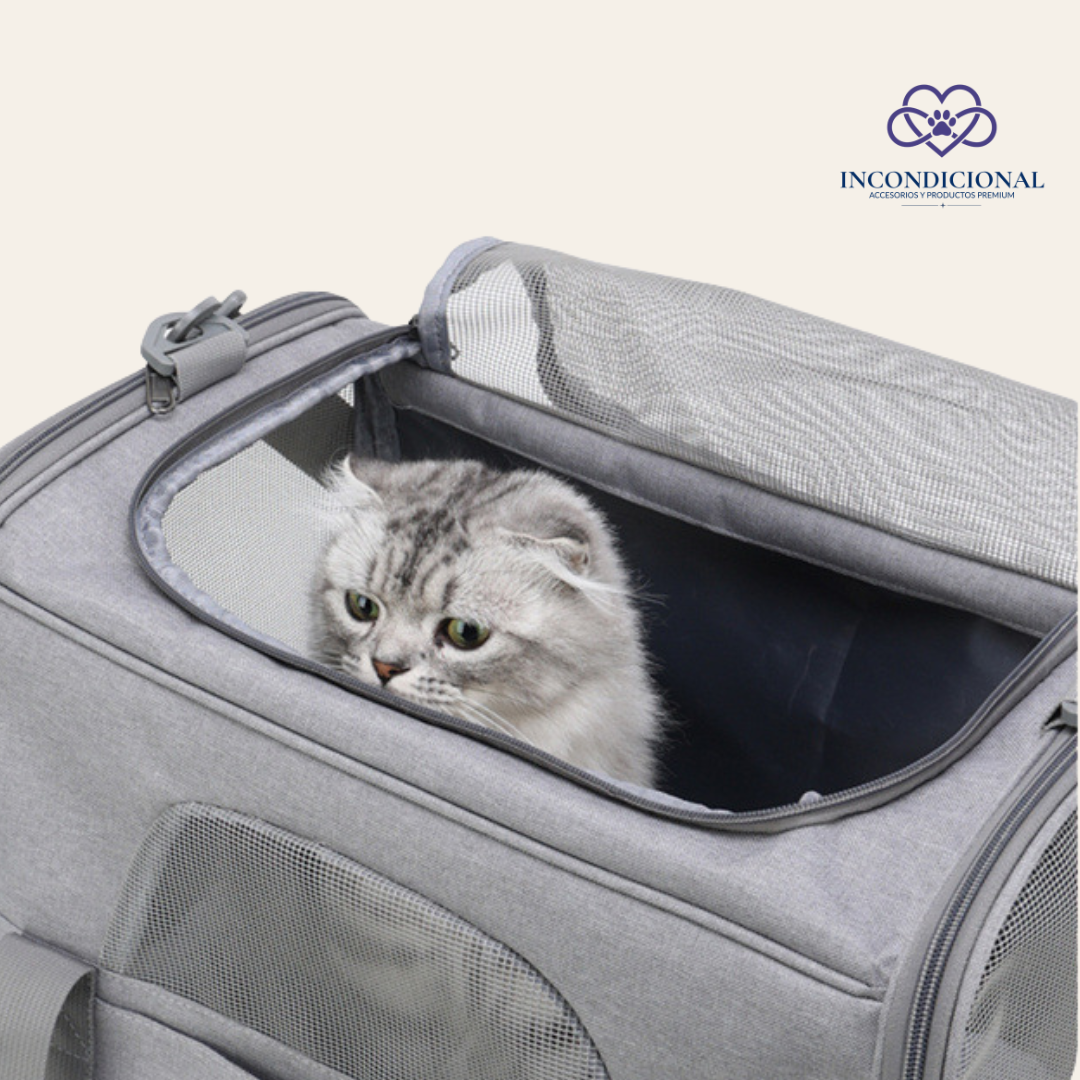 Mochila Portátil para Gatos | Bolsa de Transporte Plegable y Transpirable